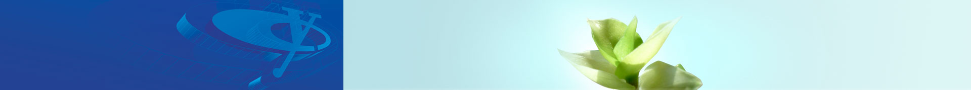 初尝人妻滑进去了莹莹视频